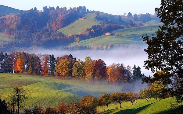 網(wǎng)站內(nèi)容測試，請及時刪除！